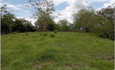 VENTA LOTE TAMESIS, SUROESTE ANTIOQUEÑO