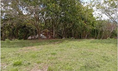 VENTA LOTE TAMESIS, SUROESTE ANTIOQUEÑO
