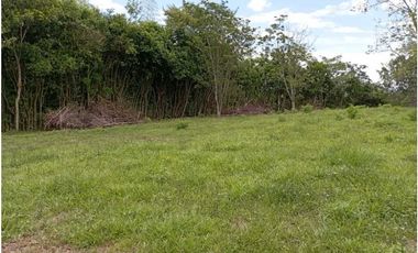 VENTA LOTE TAMESIS, SUROESTE ANTIOQUEÑO