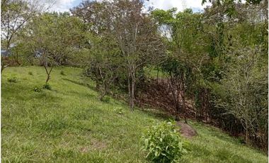 VENTA LOTE TAMESIS, SUROESTE ANTIOQUEÑO