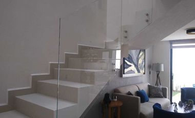 rio Viñedos San Marcos