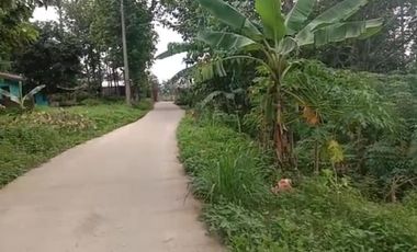 Tanah Kavling Pengasinan