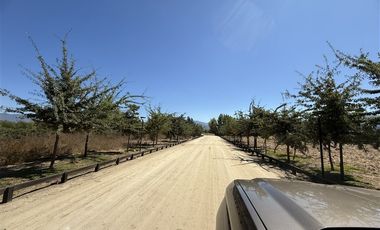 Parcela en venta en María Pinto