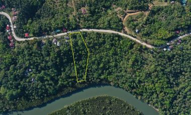 5,167sq.m Commercial Potential Lot for Sale in Cortes Bohol*