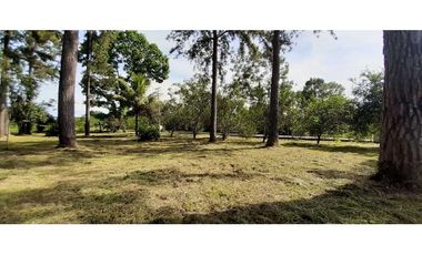 VENDO/ ALQUILO CASA AMOBLADA Y 9516M2 DE TERRENO