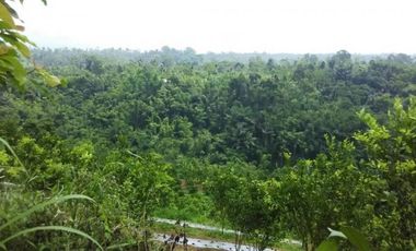 dijual tanah view jungle di payangan ubud gianyar bali