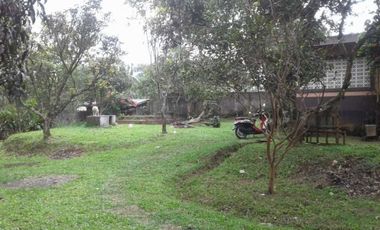 Jual Tanah Villa & Kebun Buah di Sukalarang Sukabumi Bogor