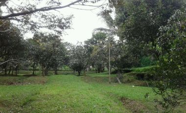 Jual Tanah Villa & Kebun Buah di Sukalarang Sukabumi Bogor