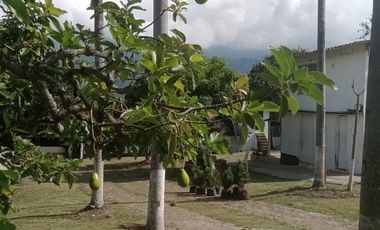 finca en venta en chinauta. Cod V4734