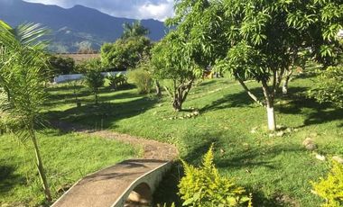 finca en venta en chinauta. Cod V4734