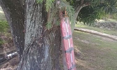 finca en venta en chinauta. Cod V4734