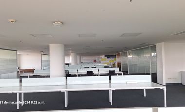 oficina en arriendo en siberia. Cod A1002284