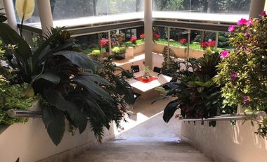 Gran Residencia con vigilancia