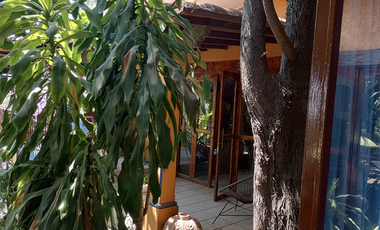 VENDO CASA COLONIAL EN UNA DE LAS MEJORES ZONAS DE CUERNAVACA - PALMIRA -