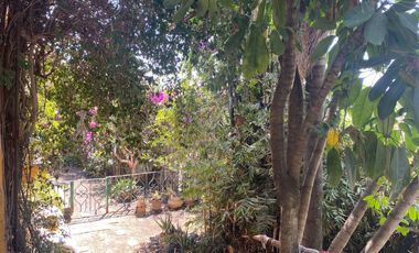 VENDO CASA COLONIAL EN UNA DE LAS MEJORES ZONAS DE CUERNAVACA - PALMIRA -