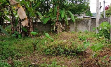 Sacrifice Lot for SALE in Tipanoy Iligan City