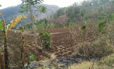 Jual Tanah Pertanian 1000 Hektar Di Limbangan Kota Garut