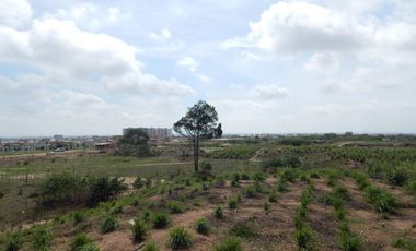 lote en arriendo/venta en los almendros. Cod A93079