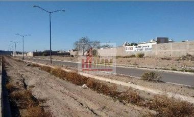 SONORA CABORCA TERRENO VENTA