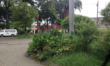 casa-local en venta en centra comuna 6. Cod V177