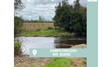 Campo  Río Bueno- Crucero 9,1Ha.