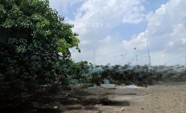 Tanah Padat Strategis Pinggir Jalan Raya Akses Mudah Di Cilincing