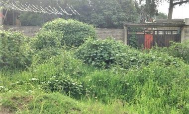 Terreno en Venta en Pentecostés, Texcoco
