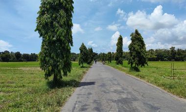 TANAH KAVLING PURWOREJO, TANAH LUAS CUMA 80 JT-AN