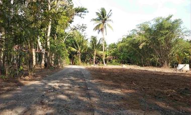 TANAH KAVLING PURWOREJO, TANAH LUAS CUMA 80 JT-AN