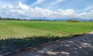 TANAH KAVLING PURWOREJO, TANAH LUAS CUMA 80 JT-AN