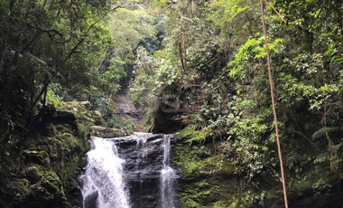 finca en venta en vereda san cristóbal. Cod V5824