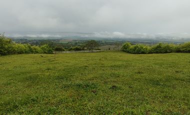 lote en venta en palmira. Cod V17473