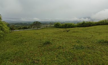 lote en venta en palmira. Cod V17473