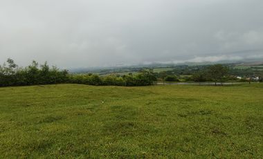 lote en venta en palmira. Cod V17473