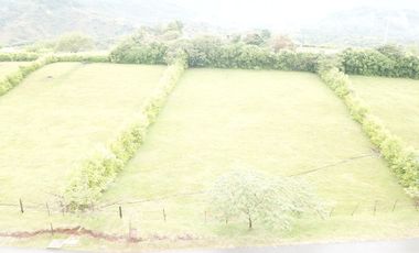 lote en venta en palmira. Cod V17473