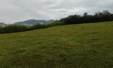 lote en venta en palmira. Cod V17473