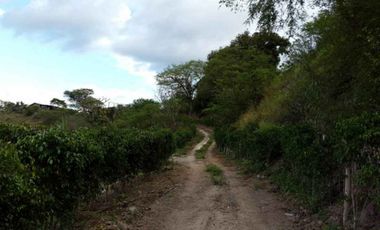 Terreno de venta en Yunguilla - Patapata L - 2 – código:12003
