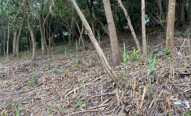 VENDO TERRENO EN SAN AGUSTÍN ETLA, OAXACA.