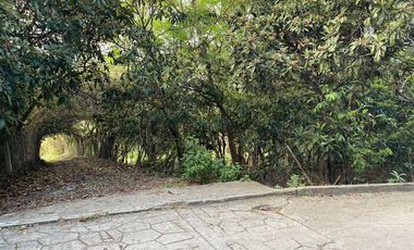 VENDO TERRENO EN SAN AGUSTÍN ETLA, OAXACA.