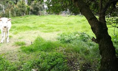 lote en arriendo en chia vereda fagua. Cod A3472