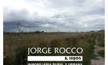 Campo en venta en Ranchos. 115 has. mixto sobre ruta