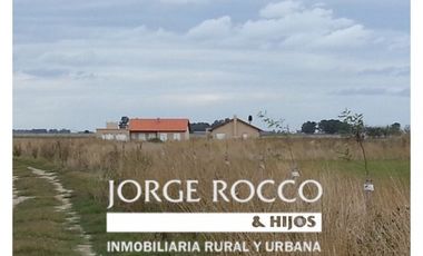 Campo en venta en Ranchos. 115 has. mixto sobre ruta