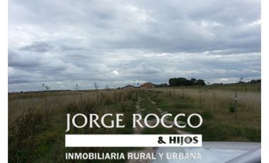 Campo en venta en Ranchos. 115 has. mixto sobre ruta