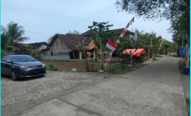 Dekat Exit Tol Banguncipto: Beli Selagi Murah