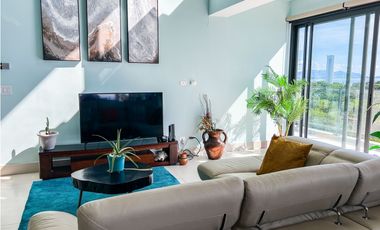 PUNTA CAELO BEACHFRONT PENTHOUSE  FOR SALE