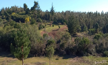 Parcela en Venta en 161.939 - Santa Florencia, Lomas Coloradas - Ñipas 2D2B