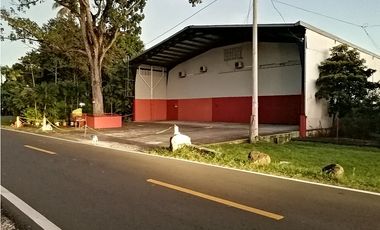 ALQUILER GALERA 600 MTS JUAN DAZ