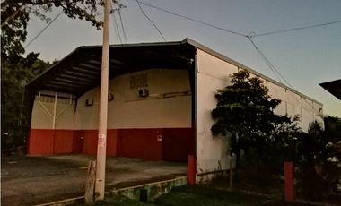 ALQUILER GALERA 600 MTS JUAN DAZ