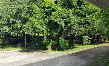 Commercial Lot for Sale in Panagdait Mabolo Cebu City!