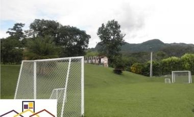 Alquiler de Fincas en la Pintada